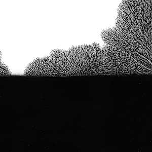 Gorgon by Aurélie Jourdain