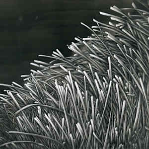 Ribbons by Aurélie Jourdain