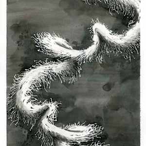 Siphonophore by Aurélie Jourdain