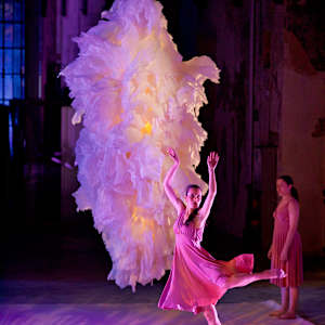 TRANSLUCENT 1, FLORESCENCE series by JAVIER LEÓN PÉREZ 