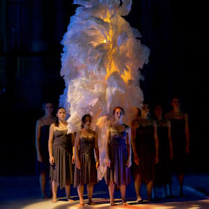 TRANSLUCENT 1, FLORESCENCE series by JAVIER LEÓN PÉREZ 