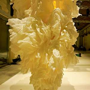 TRANSLUCENT 1, FLORESCENCE series by JAVIER LEÓN PÉREZ 