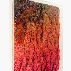 WINGS 1, META-MORPHOSIS series by JAVIER LEÓN PÉREZ  Image: General view 2