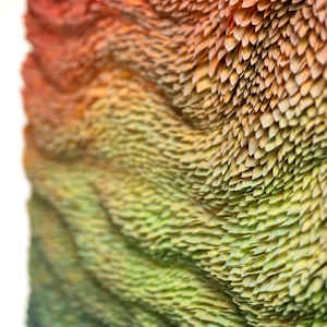 WINGS 2, META-MORPHOSIS series by JAVIER LEÓN PÉREZ  Image: Detail 1