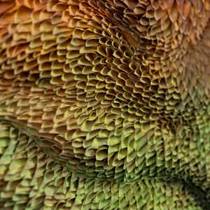 WINGS 2, META-MORPHOSIS series by JAVIER LEÓN PÉREZ  Image: Detail 3