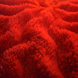 SOLARIZATION 1, ATMOSPHERE series by JAVIER LEÓN PÉREZ  Image: Detail 2