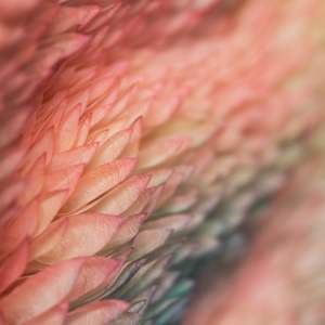 SPECTRUM #4, ATMOSPHERE series. by JAVIER LEÓN PÉREZ 