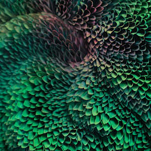 NEBULA 4, ATMOSPHERE series by JAVIER LEÓN PÉREZ  Image: Detail 2