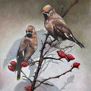 Dutch Birds by Lindsay Shillington