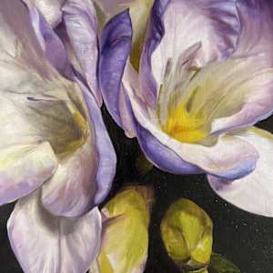 Freesia Close Up by Lindsay Shillington