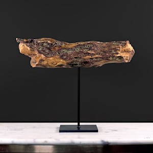 Standing Alone, I Speak by Jaclyn Gordyan 