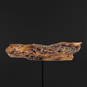 Standing Alone, I Speak by Jaclyn Gordyan 