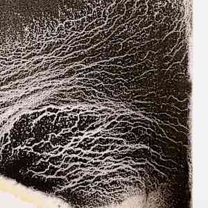 Totemic IV by Jaclyn Gordyan 