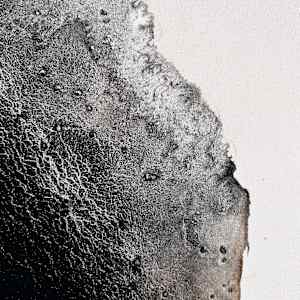 Totemic I by Jaclyn Gordyan 