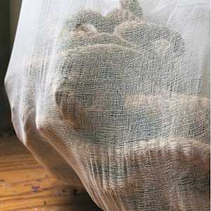 Portate by Jaclyn Gordyan, Image 3.