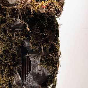 Sense Of Home by Jaclyn Gordyan 
