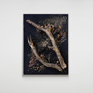 Rise by Jaclyn Gordyan, Image 1.