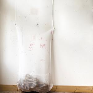 Portate by Jaclyn Gordyan, Image 1.