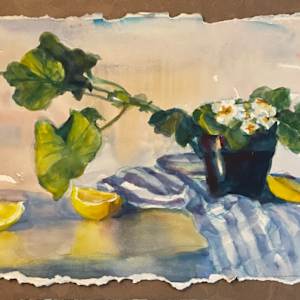 Geraniums & Lemons by Shauna Shane, Image 1.