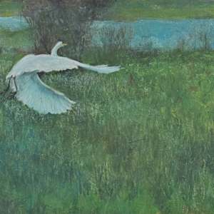Wheels Up by Shauna Shane, Image 1.
