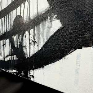 Collateral by Amanda Daigle 