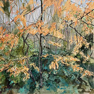 Autumn Thicket by Sarah Dee Barrett