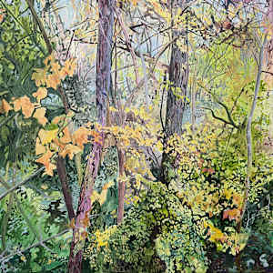 Colour Riot by Sarah Dee Barrett