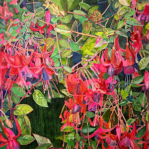 Fuchsia Cluster by Sarah Dee Barrett