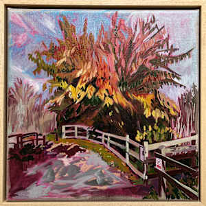 Coppermill Lane: Rainbow Canopy by Sarah Dee Barrett