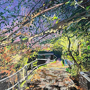 Night Walks by Sarah Dee Barrett