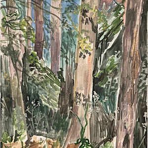 Woods Scene Multicolour by Sarah Dee Barrett