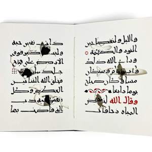 Anthropocene, Book I 10/10 by Joumana Medlej