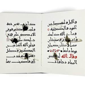 Anthropocene, Book I 9/10 by Joumana Medlej, Image 5.