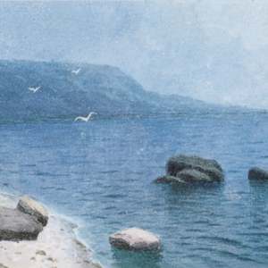 Gabbiani by . Klimenko, Image 2.