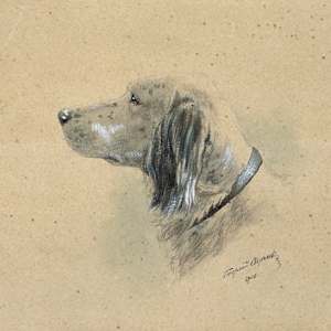 Il cane Laverak by Georgij Sverchkov