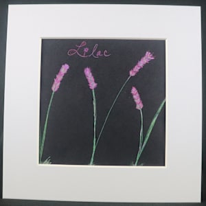 Lilacs by Hiliary A. Blalock