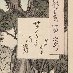 SESON TEMPLE MOON, CAPTAIN YOSHITAKA by TSUKIOKA YOSHITOSHI, Image 7.