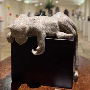 Jaguar blanco by Marcelo Cifuentes