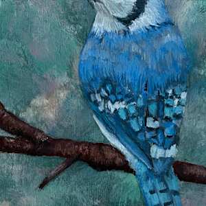 Blue Jay by Erica Kyle Creations