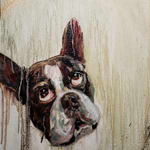 Saint O'Malley by Michelle Dahl