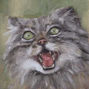 Yikes by Michelle Dahl, Image 10.