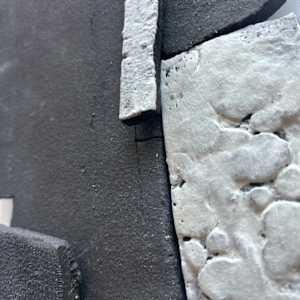 Saguaro by Carla Roth, Image 2.