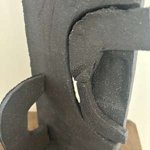 Ungated by Carla Roth 