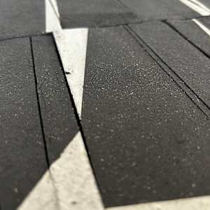 Inside Edge by Carla Roth 