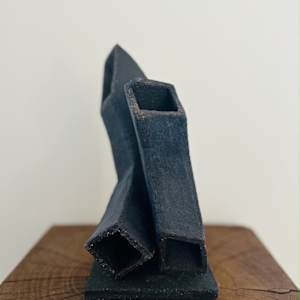 Protector by Carla Roth 