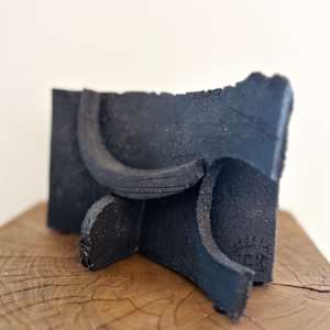 Gesture by Carla Roth 