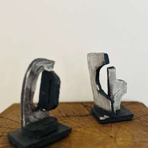 Tiny Riots by Carla Roth 