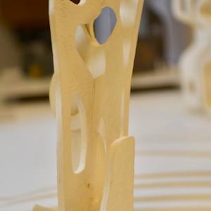 Attractor by Carla Roth 