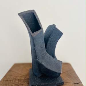 Protector by Carla Roth 