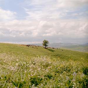 Basilicata, Spring Time by Katie Naclerio